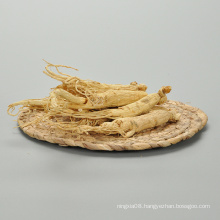 China Professional Manufacturer Ginseng Dry Extract Ginseng Root Extract